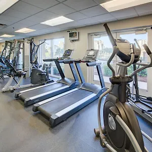 https://luau-i-7105-studio.hotels-destin.com